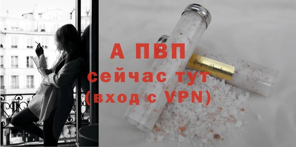 гашик Россошь