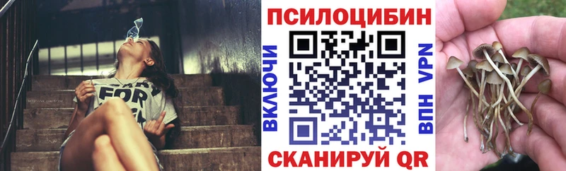 Галлюциногенные грибы GOLDEN TEACHER  Сергач 