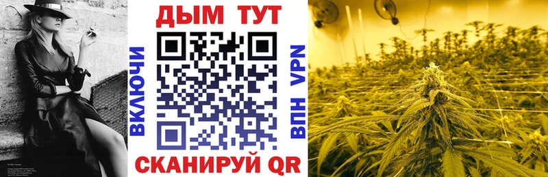 Канабис MAZAR  где можно купить   Сергач 
